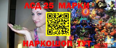 альфа пвп Новокубанск