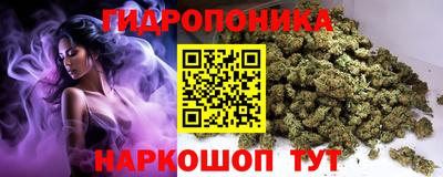 альфа пвп Новокубанск