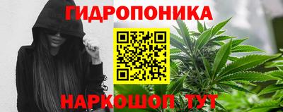 альфа пвп Новокубанск