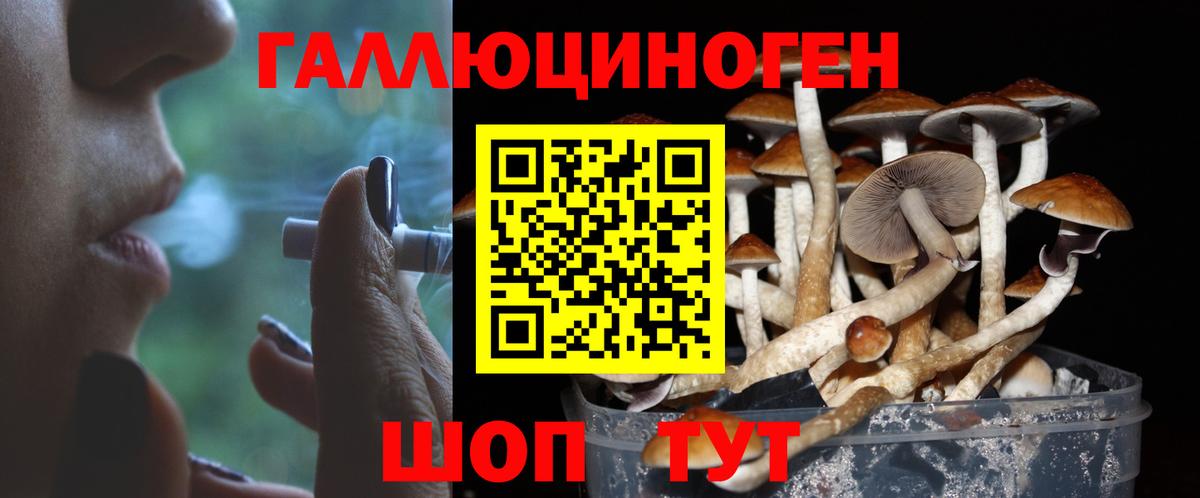 Псилоцибиновые грибы ЛСД Севастополь